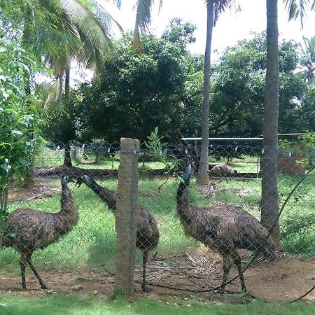 Mango Village Farm House Nelliyampathy Екстериор снимка