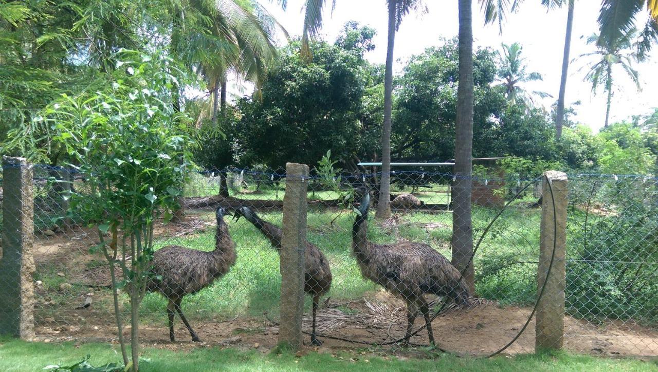 Mango Village Farm House Nelliyampathy Екстериор снимка